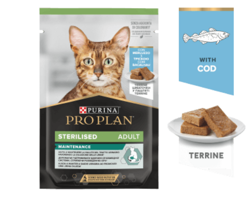 Maintenance Wet Food