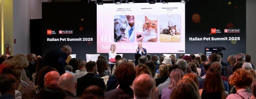 rapporto con gli animali da compagnia