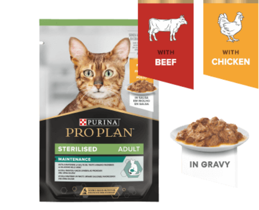 Maintenance Wet Food