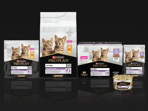 PRO PLAN® Kitten