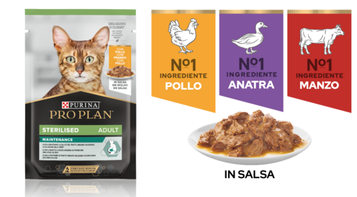 Maintenance Wet Food