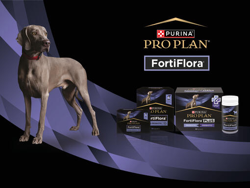 Pro Plan Fortiflora