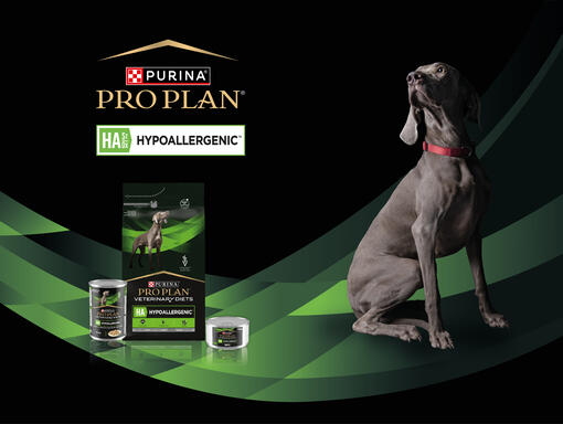 Pro Plan HA