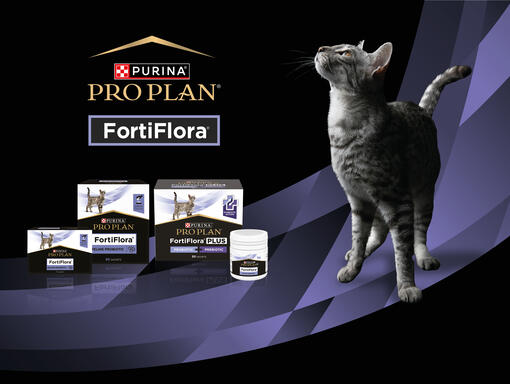 Pro Plan Fortiflora