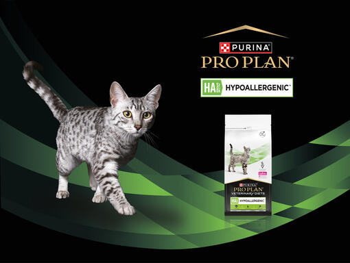 HA Hypoallergenic ™