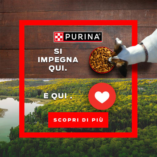 Purina si impegna qui. E qui.