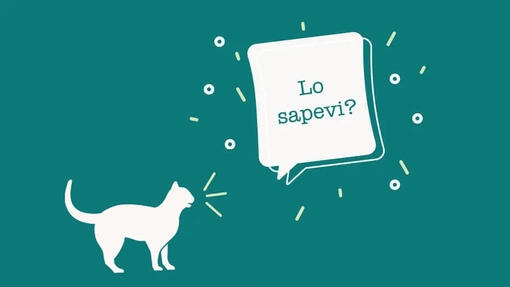 Lo sapevi