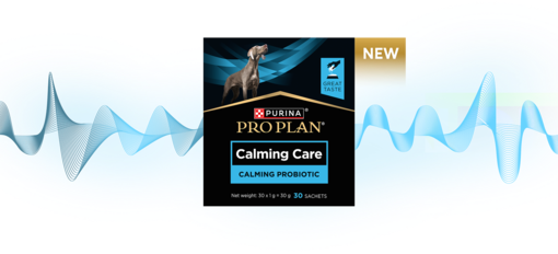 Calming Care
