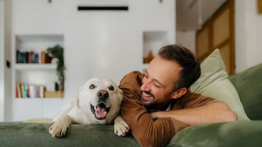 Idee per il compleanno del cane: come festeggiare il giorno speciale del tuo cane