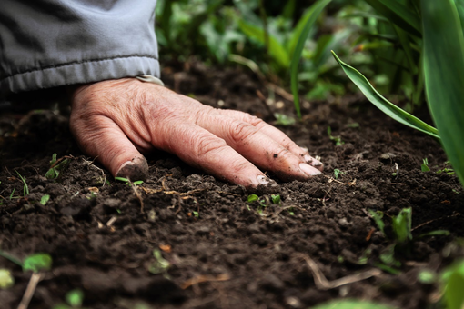 agricoltura rigenerativa