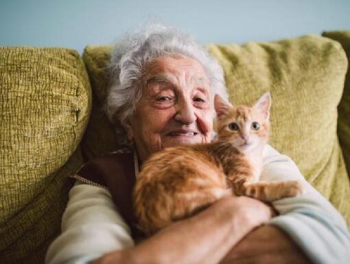 donna adulta con un gatto