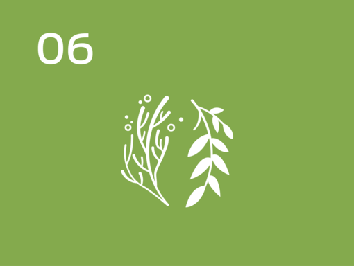 Rigenerazione del suolo e degli ecosistemi marini