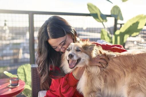 Purina Better With Pets Prize