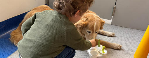Purina e Frida’s Friends insieme per un nuovo progetto di pet therapy nel reparto di epilessia infantile e neurologia pediatr