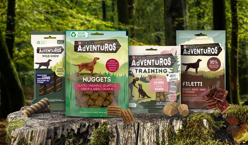 snack AdVENTuROUS