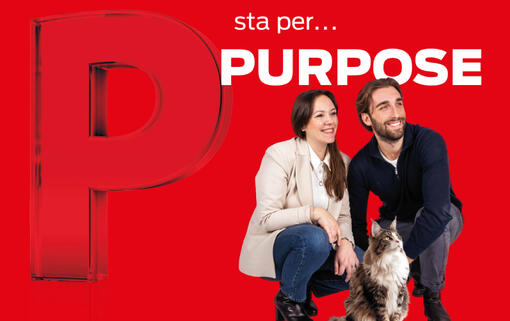 P sta per… Purpose