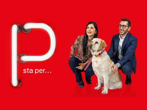 Lavora con noi
