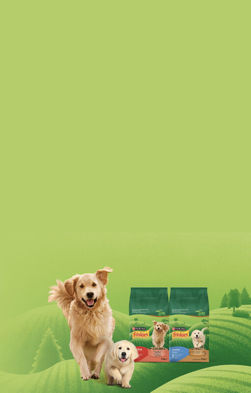 Scopri Friskies® per Cani