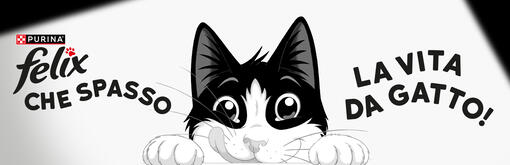 TTT-banner-felix