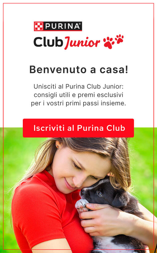 PURINA Club Junior