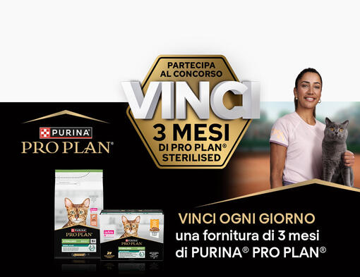 Partecipa, vota e… Vinci LIKE A PRO
