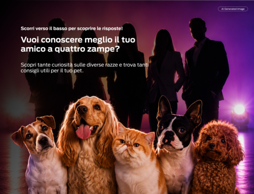 Celebrity Pets