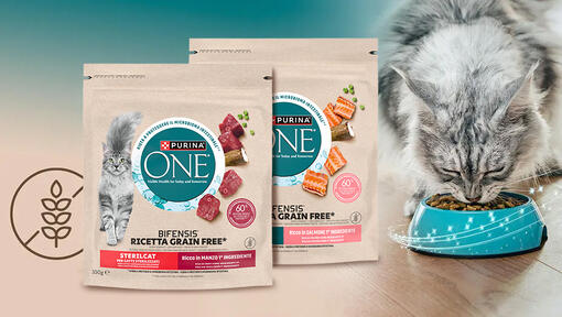 Nuove ricette nella nostra gamma Purina ONE®: Bifensis Grain Free®