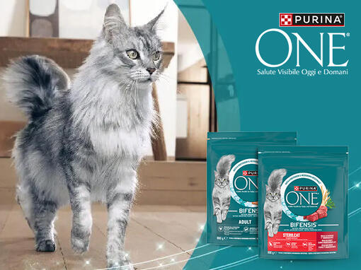 Purina ONE