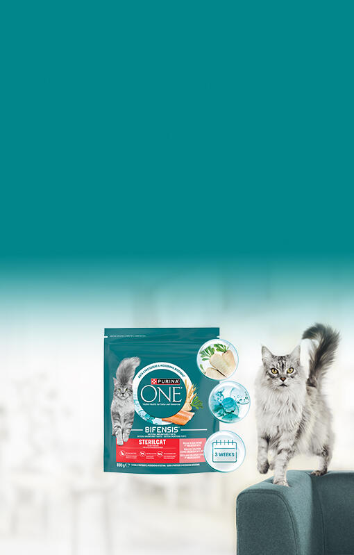 Purina ONE® Bifensis®