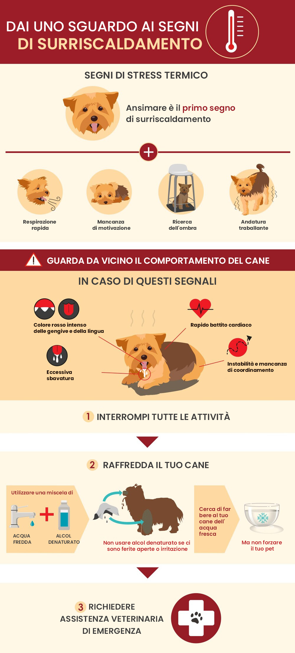 Perché il surriscaldamento del cane è pericoloso? Perché il surriscaldamento del cane è pericoloso?