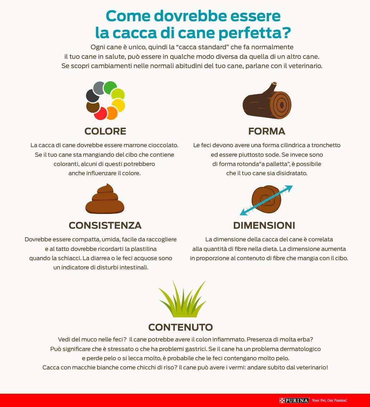 muco sanguinante nelle feci