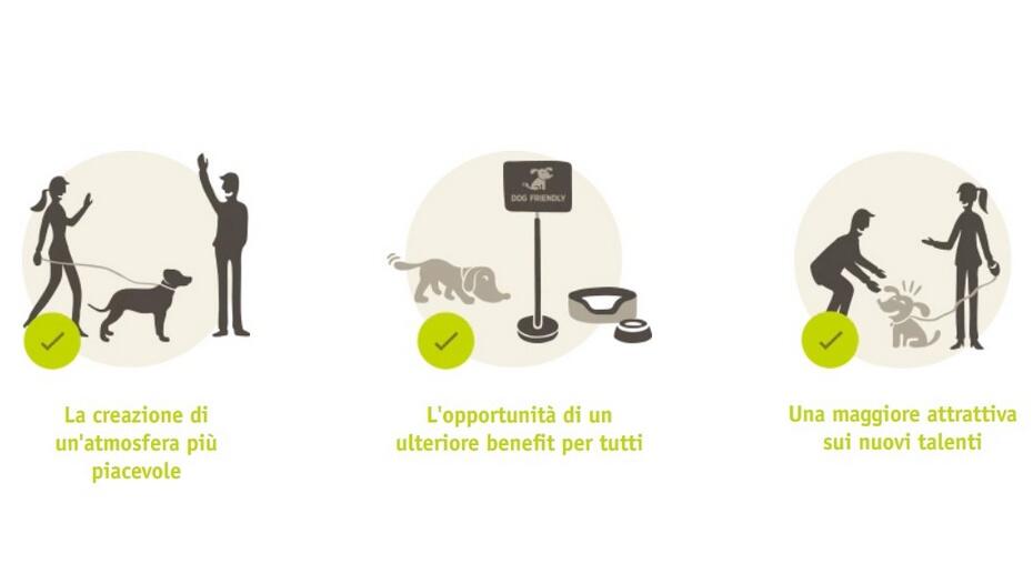 Employer media image Animali domestici al lavoro infografica