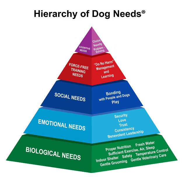 hierarchy of dog needs hierarchy of dog needs