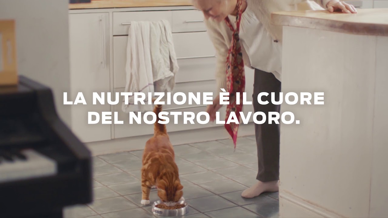 I NOSTRI 10 IMPEGNI