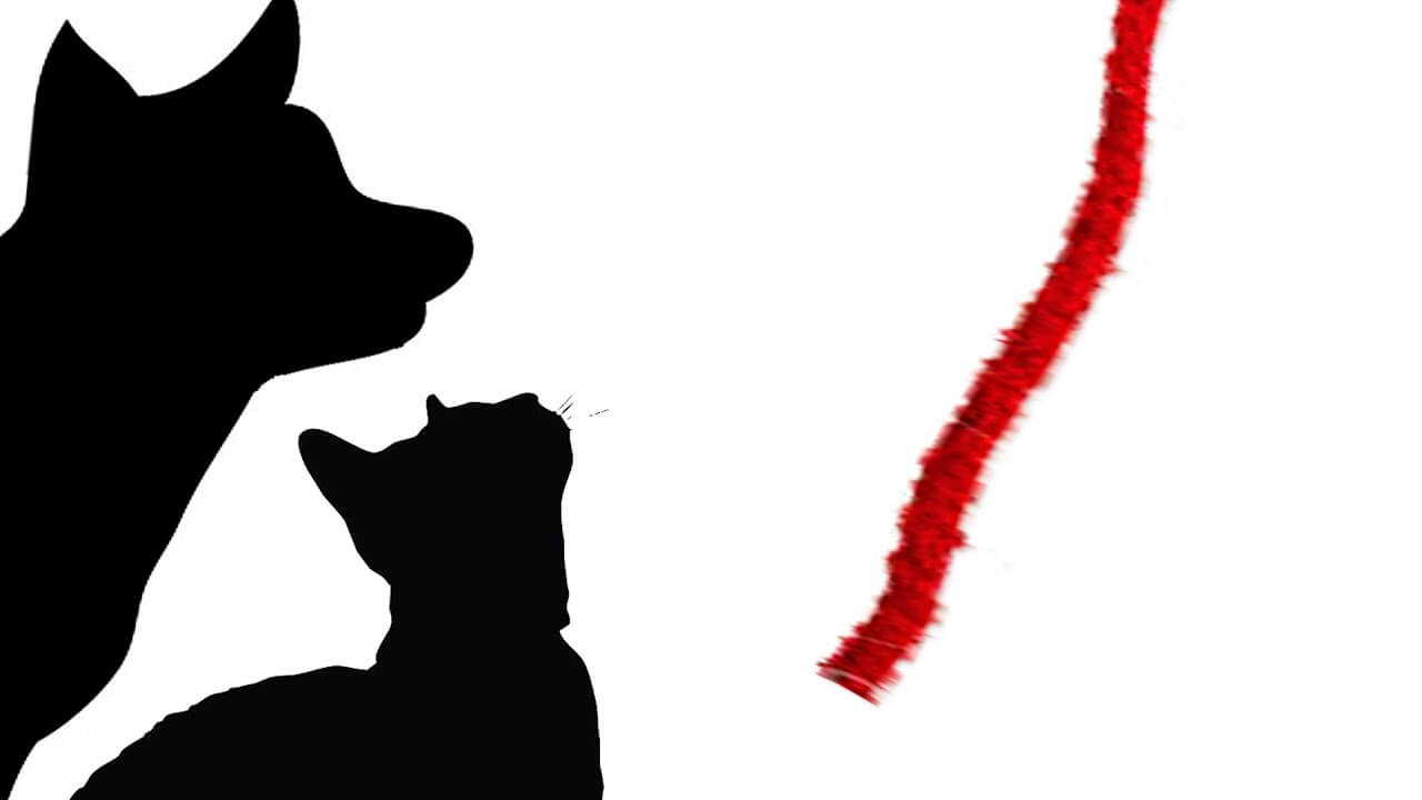 Purina